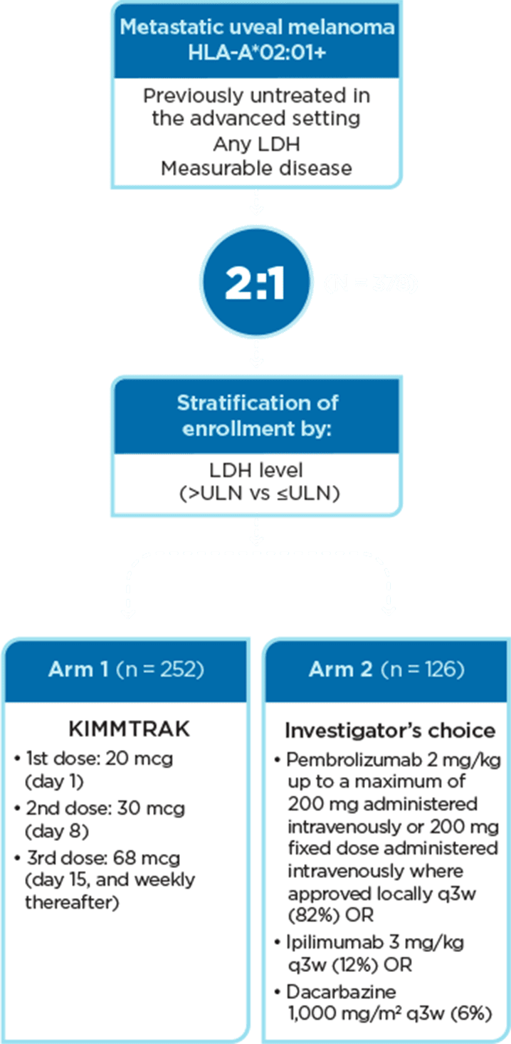 A flow chart that shows the stages of the kimmtrak phase 3 clinical trial process